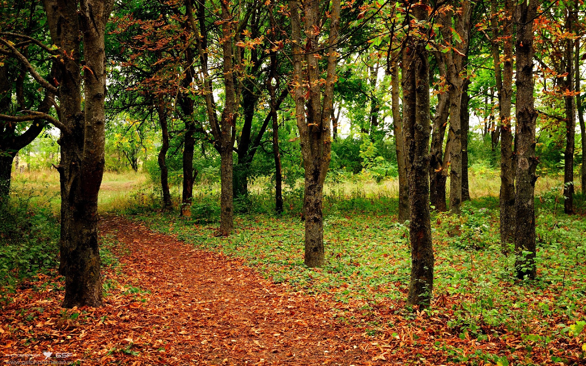 体育活动组织管理规范，体育活动组织管理规范内容