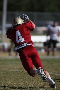 爱游戏app-CBA赛季转会期开放多支球队进行大规模阵容调整，cba转会动态2021